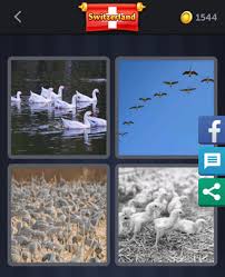 To find your answer, count how many letters made by lotum, the same minds that brought us icomania and pic combo, these puzzles will test your logical thinking in all sorts of ways. 4 Pics 1 Word Daily Bonus Puzzle June 16 2020 Daily Puzzle Answers
