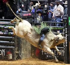 Mauney Wins Billings Pbr Event A Second Time