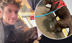 Radio 1 host Greg James is left mortified after dog Barney wees