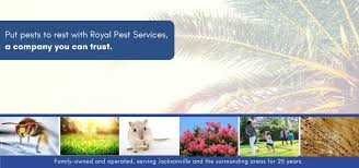 Call us at the first sign of infestation, and we will get to you right away. Royal Pest Services Pest Termite Lawn