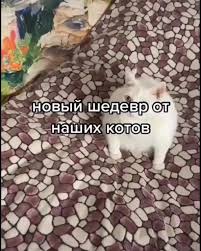 Okroshka tv 20201208 134647 mp4 - BEST XXX TUBE