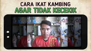 Perangkaian dilakukam dengan cara 2 tali dari sisi depan dompet, dan 2 tali lain dari belakang dompet. Cara Membuat Tangga Dari Tali Tutorial Tali Temali Pramuka Youtube