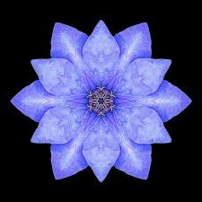 Pin On Mandalas