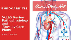 Symptoms may include fever, small areas of bleeding into the skin, heart murmur, feeling tired, and low red blood cell count. Endocarditis Nursing Diagnosis Care Plan Nursestudy Net