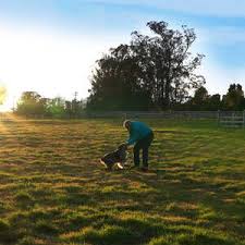 Lemos Feed & Pet Supply