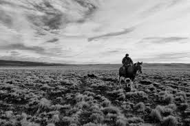 Carmelo Macri: Humans