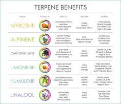 Terpenes