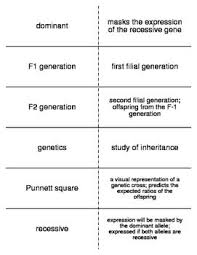 Genetics Vocabulary Flash Cards For Middle School Science Vocabulary Flash Cards Flashcards Vocabulary
