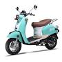 Classic Scooters USA from scooter-stop.com