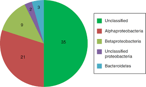 proteobacteria extremophiles and unassigned species