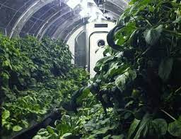 Nasa Unveils Inflatable Greenhouse For Sustainable Farming On Mars Greenhouse Hydroponics Hanging Garden