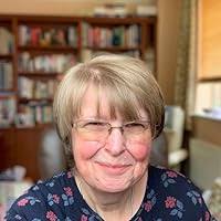 Diary of Interrupted Days by Dragan Todorovic