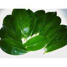 We did not find results for: Daun Nangka Segar 1 Kg Murah Shopee Indonesia