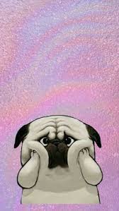  17 Ide Wallpaper Gambar Latar Belakang Anjing Pug