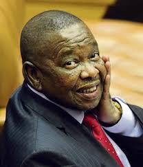 Blade Nzimande set to scrap Setas