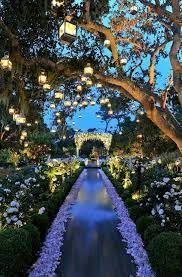 Pin By Sydney Clifford On Wow I Do Wedding Lights Enchanted Forest Wedding Outdoor Wedding