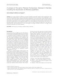 Image result for Pteronia mucronata