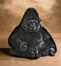 Pin On Adorable Stuffed Animals