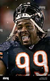 Chicago Bears defensive tackle Tank Johnson (99) stands