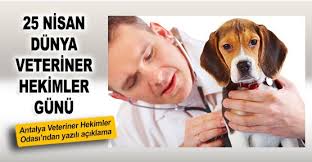 Dünya veteriner hekimler günü 2020 mesajları ve sözleri! 25 Nisan Dunya Veteriner Hekimler Gunu Guncel Antalya Haberleri