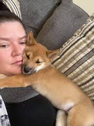 Lovely social dog meet this morning. Welcome Trevor. You are beautiful boy!  🐶💕