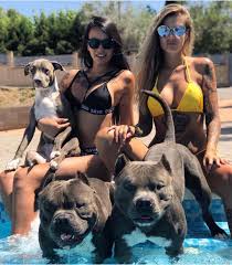 Girlswithbullies Americanbully Americanbullys Americanbullies Mireiapairo Beautiful Dogs Dogs Girl And Dog