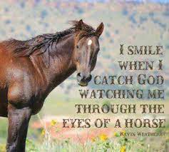 Horse Quotes Wallpaper Quotesgram Horse Quotes Horses Horse Riding Quotes
