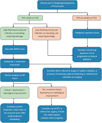 Image result for Parapneumonic Effusion