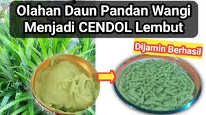Apr 07, 2021 · cara membuat es cendol segar. Cara Buat Cendol Tepung Beras Dari Daun Pandan Cendol Homemade Lembut Youtube