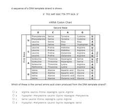 Arginine and leucine are encoded by 6 triplets. Please Help Me Figure Out This Practice Test Question Pleaseeeee Brainly Com