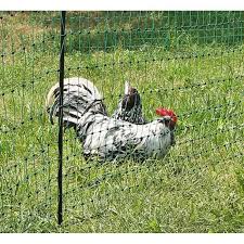 C'est un moyen facile et abordable de couvrir le haut de votre poulailler. Filet Pour Poule Cdiscount
