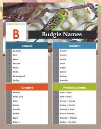 Birds That Start With Letter I Unique Pet Bird Names Beginning With A B C D Budgies For Beginners Budgie Names Pet Bird Unique Animals