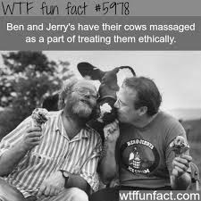 Wtf Facts Funny Interesting Weird Facts Wtf Fun Facts Fun Facts Funny Facts