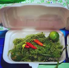 We did not find results for: Ready To Eat Latok Or Sea Grapes Which Are Sold At The Kk Waterfront Night Market In Kota Kinabalu Sabah These Unique Seaweed Is Very Popular Around Sabah And
