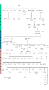 The Succession 1485 1837