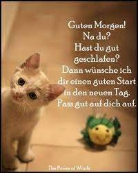 Coole bilder guten morgen fur whatsapp profil 42 guten morgen. Bilder Fur Whatsapp Kostenlos Downloaden Whatsapp Status Bilder