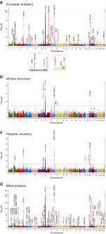 We would like to show you a description here but the site won't allow us. Transancestral Mapping And Genetic Load In Systemic Lupus Erythematosus Nature Communications