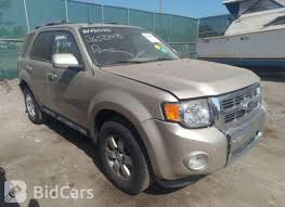 Image result for Gold Leaf 2010 Escape