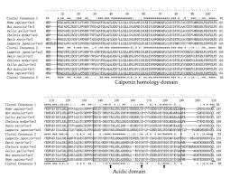 H tt ps://doi.org /10.1 191/03091 33303pp357ra. Ijms October 2017 Browse Articles