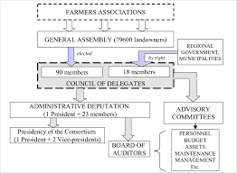 administrative organization of consortium and flowchart of