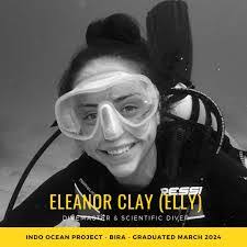 Nora Masters's Instagram, Twitter & Facebook