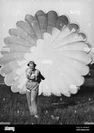 Flies And Parachutes -- Ann Cutler ...