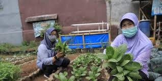 Sebuah rumah tangga dikatakan memiliki ketahanan pangan jika penghuninya tidak berada dalam kondisi kelaparan atau dihantui ancaman kelaparan. Mengenal Ketahanan Pangan Pengertian Konsep Beserta Strateginya Merdeka Com