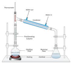 Clove Oil By Steam Distillation 1. Describe Some Green Features F This Lab  And Any That Aren'T So Green: 2 Can The Extraction Of Clove Oil Be Carried  Out Using Simple Distillation?