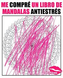 Creo Que Esta Funcionando Funny Memes Stupid Memes Memes