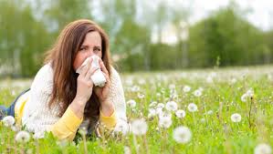 Dit stuifmeel wordt ook wel pollen genoemd. Feiten En Fabels Over Hooikoorts Gezondheidsnet
