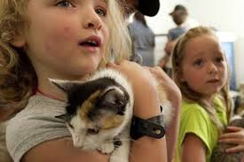 Kittypalooza, 06.30.12