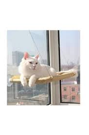 Banada Al Cama Asilan Kedi Yatagi Minderi Vantuzlu Trendyol