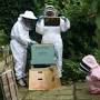 Profile Picture of Nichole Detering: Join the beekeeping community in Hammersmith and ... (@hammersmithfulhamforum.com) on Google