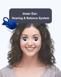 Paxton Oliver-Bingham